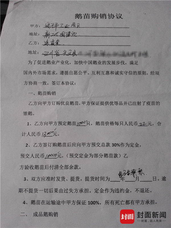 江苏沭阳形成养鹅诈骗产业链 受害者：跟莆田系骗人一样