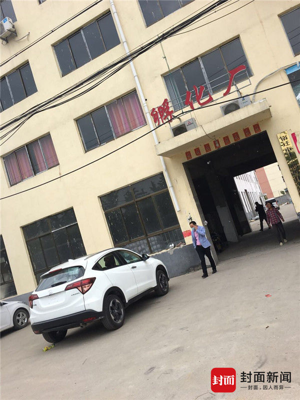 江苏沭阳形成养鹅诈骗产业链 受害者：跟莆田系骗人一样