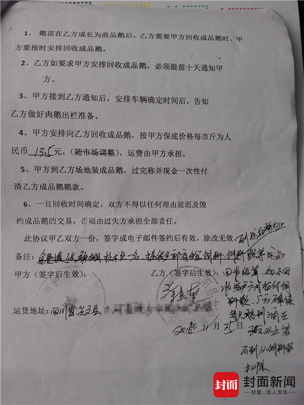 江苏沭阳形成养鹅诈骗产业链 受害者：跟莆田系骗人一样